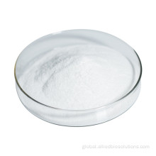 Super Sweet Sucralose Sweetener Best Quality Sucralose Sweetener Factory